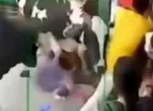 حمله گاوها به زن جوان در خیابان/ ویدئو