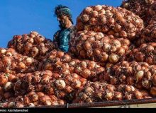 محکومیت میلیاردی قاچاقچی پیاز