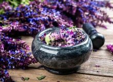 این گیاه حافظه را زیاد و افکار منفی را از شما دور می‌کند