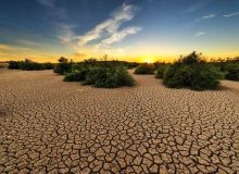 تا ۱۵ سال دیگر، استان گلستان بیابان می‌شود، مگر اینکه اقدام جدی رخ دهد