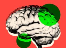 آیا می توانیم نحوه پیر شدن مغزمان را تغییر دهیم؟