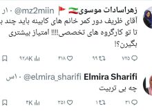 واکنش تند المیرا شریفی به توهین بیشرمانه کاربر اصولگرا به بانوان و ظریف / عکس