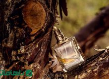 بهترین عطرهای زنانه مناسب فصل پاییز