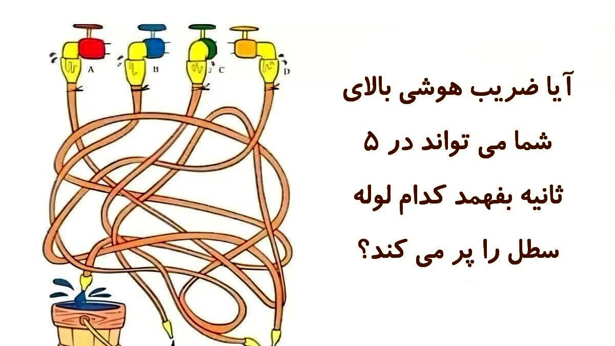 تست هوش/ کدام لوله سطل را پر می کند؟