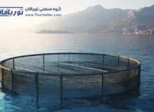 راهنمای نگهداری و ذخیره تورهای قفس پرورش ماهی برای استفاده طولانی‌مدت