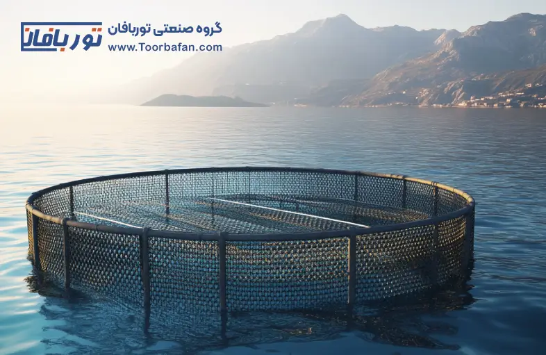 راهنمای نگهداری و ذخیره تورهای قفس پرورش ماهی برای استفاده طولانی‌مدت
