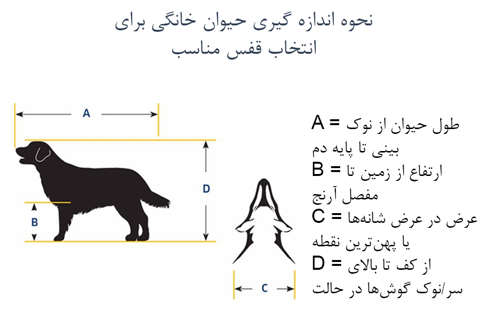 نحوه اندازه گیری بدن حیوان خانگی برای انتخاب قفس مناسب برای حمل با هواپیما