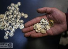 بازار روی ماشه؛ ۳ سناریو بازارساز برای کنترل هیجان قیمت‌ها