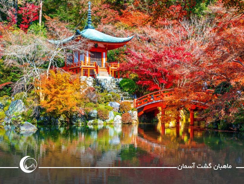 قیمت تور ژاپن از تهران؛ بررسی انواع پکیجها از اقتصادی تا لوکس پکیج تور ژاپن؛ انتخابی متناسب با بودجه و سبک سفر
