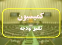 اختصاص منابعی در بودجه ۱۴۰۵ برای بنزین، ارز کالاهای اساسی و خرید گندم