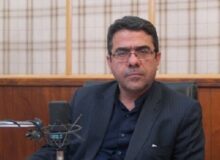 بخش اعظم نوسانات بازار ارز حاصل عملکرد شرکت نیکو و اتاق بازرگانی است