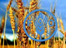 برنامه پزشکان خاک ایران مورد تحسین فائو قرار گرفت