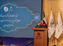 بهروزآذر: زنان در عرصه حکمرانی نقشی تعیین‌کننده دارند