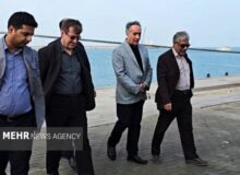 حسینی: کنترل دقیق نهاده‌های دامی پیش از ورود به چرخه تولید ضرورت دارد