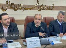 عسکری: کیوی فرصت طلایی ایران برای صادرات به روسیه و قفقاز است