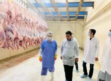 معدوم سازی ۲۶۰۰ کیلوگرم فرآورده غیرقابل مصرف در چابهار