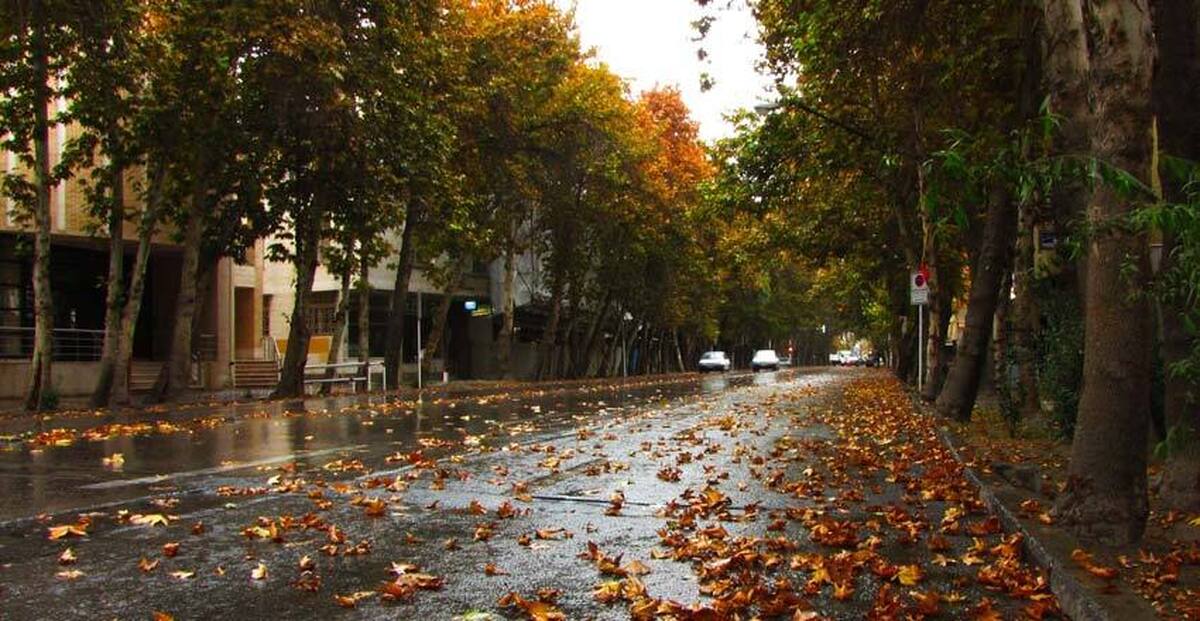 نام یک بازیگر زن مشهور بر خیابانی در تهران+ عکس