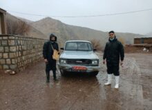 واکسیناسیون دام‌ها در هرسین برای مقابله با تب برفکی