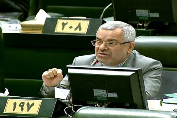 احمدی: مجلس وظایف نظارتی خود را با جدیت دنبال خواهد کرد