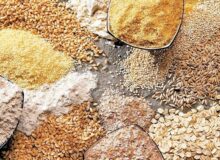 افزایش قیمت دانه‌های روغنی با افشای شرکت بورسی در کدال