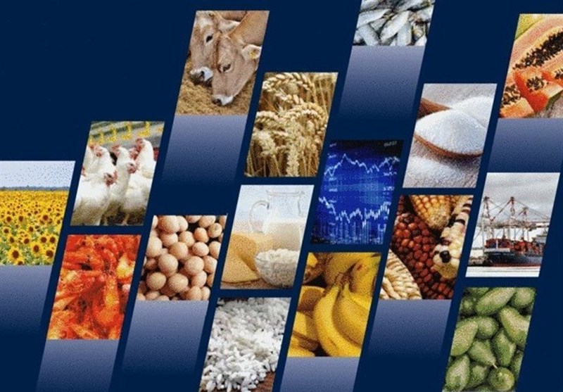 ثبت سفارش واردات 6 محصول کارخانجات صنایع غذایی باز شد