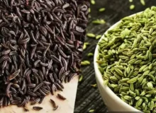 راز خوشمزگی غذای ایرانی با این روش ساده/ زیره را کی و کجا استفاده کنیم تا عطر غذا را چند برابر کند؟
