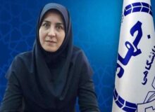 مسئول راه‌اندازی سازمان نوآوری‌های دانشجویان ایران منصوب شد