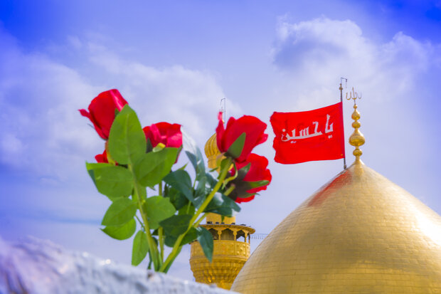 نهضت امام حسین(ع)بر پایه‌ بینش و فهم عمومی شکل گرفت/از کربلا تا انقلاب