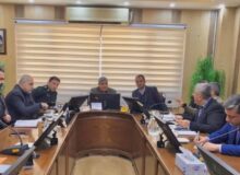 ورمقانی: پلاک‌کوبی دام‌ها نقش موثری در جلوگیری از قاچاق دام دارد