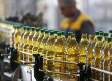 کنگری: توزیع روغن هنوز قطره چکانی است| برنج هندی ۴۰ هزار تومان ارزان شد