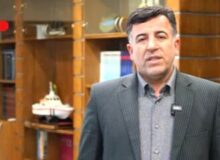 ۱۳۱ هزار تُن انواع کالای اساسی در شبانه‌روز گذشته از گمرک‌ها ترخیص و وارد کشور شد