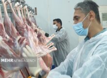 آغاز طرح تشدید نظارت بهداشتی دامپزشکی در کاشمر
