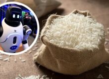 استفاده از برنج در ساخت روبات‌ها و تجهیزات مقاوم در برابر ضربه