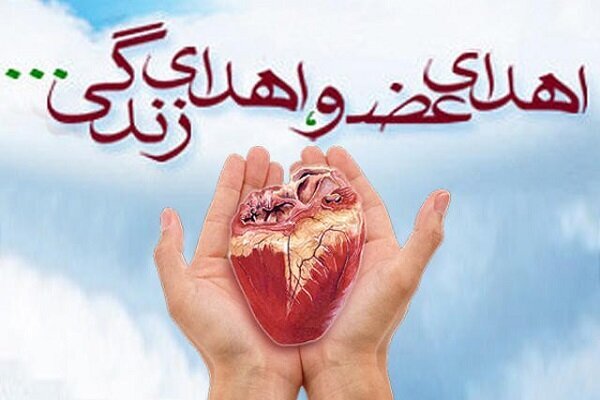 اهدای اعضای جوان نورآبادی به چند بیمار جان دوباره بخشید