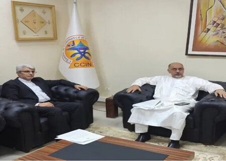 برگزاری اجلاس همکاریهای اقتصادی ایران و آفریقا در تهران