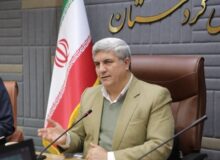 ثبت‌نام ۷ هزار و ۹۶۲ داوطلب انتخابات شوراهای روستایی در کردستان