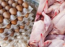 جزئیات کاهش قیمت مرغ، تخم مرغ و گوشت قرمز در بازار
