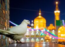 جنگ‌های شناختی در کلام و سیره امام رضا(ع) بررسی می شود