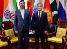 دیدار غریب‌آبادی با دبیرکل سازمان همکاری شانگهای در چین