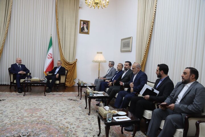 دیدار لاریجانی با وزیر انرژی روسیه