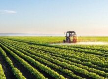 رفع تنگناهای فناورانه برای کاهش وابستگی در حوزه غذا و کشاورزی