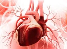 سلامت قلب افراد شب زنده دار در معرض خطر است