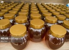 شاهی: مجوز صادرات ۱۴۰ تن عسل از خوانسار صادر شد