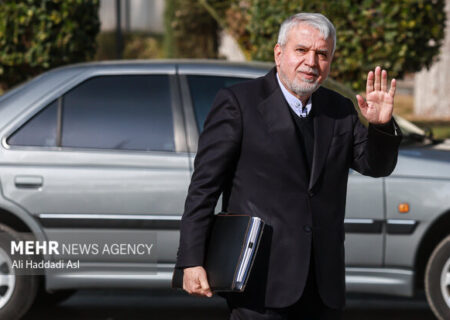 صالحی امیری:  ۱۴۰۵ سال شکوفایی صنایع دستی ایران است