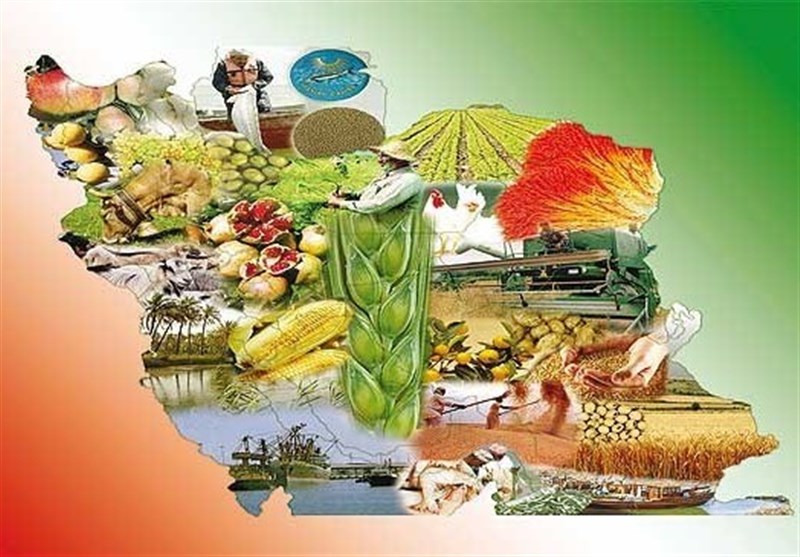طرح ملی تنظیم بازار یکچارچه بخش کشاورزی آغاز شد