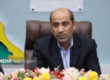 فرماندار دشتی: کوتاهی در حوزه ایجاد اشتغال پذیرفتنی نیست