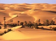 «نجات آب» ــ 69| حمایت از زنجیره ارزش پایدار محصولات در مناطق خشک