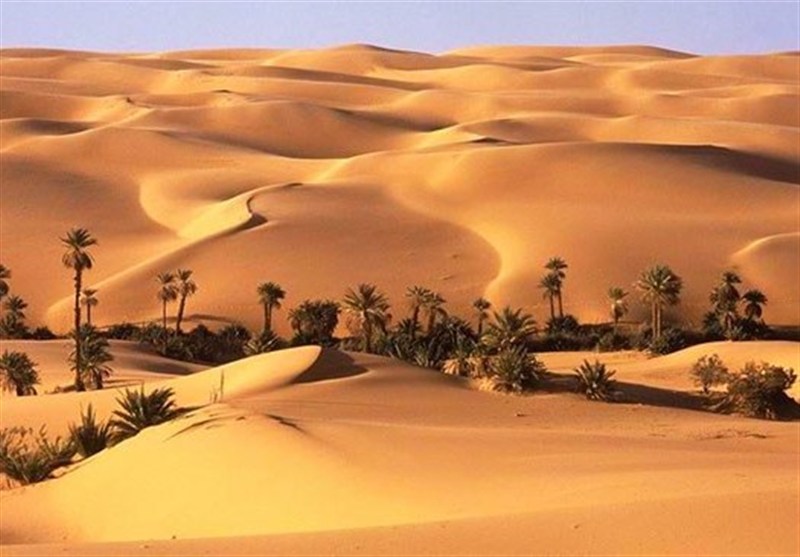 «نجات آب» ــ 69| حمایت از زنجیره ارزش پایدار محصولات در مناطق خشک