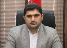 نیک‌روش: ناهماهنگی بین ادارات در بوشهر رفع شود