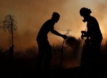 هشدار افزایش دما و وزش باد در شمال؛ احتمال وقوع آتش‌سوزی در جنگل‌ها